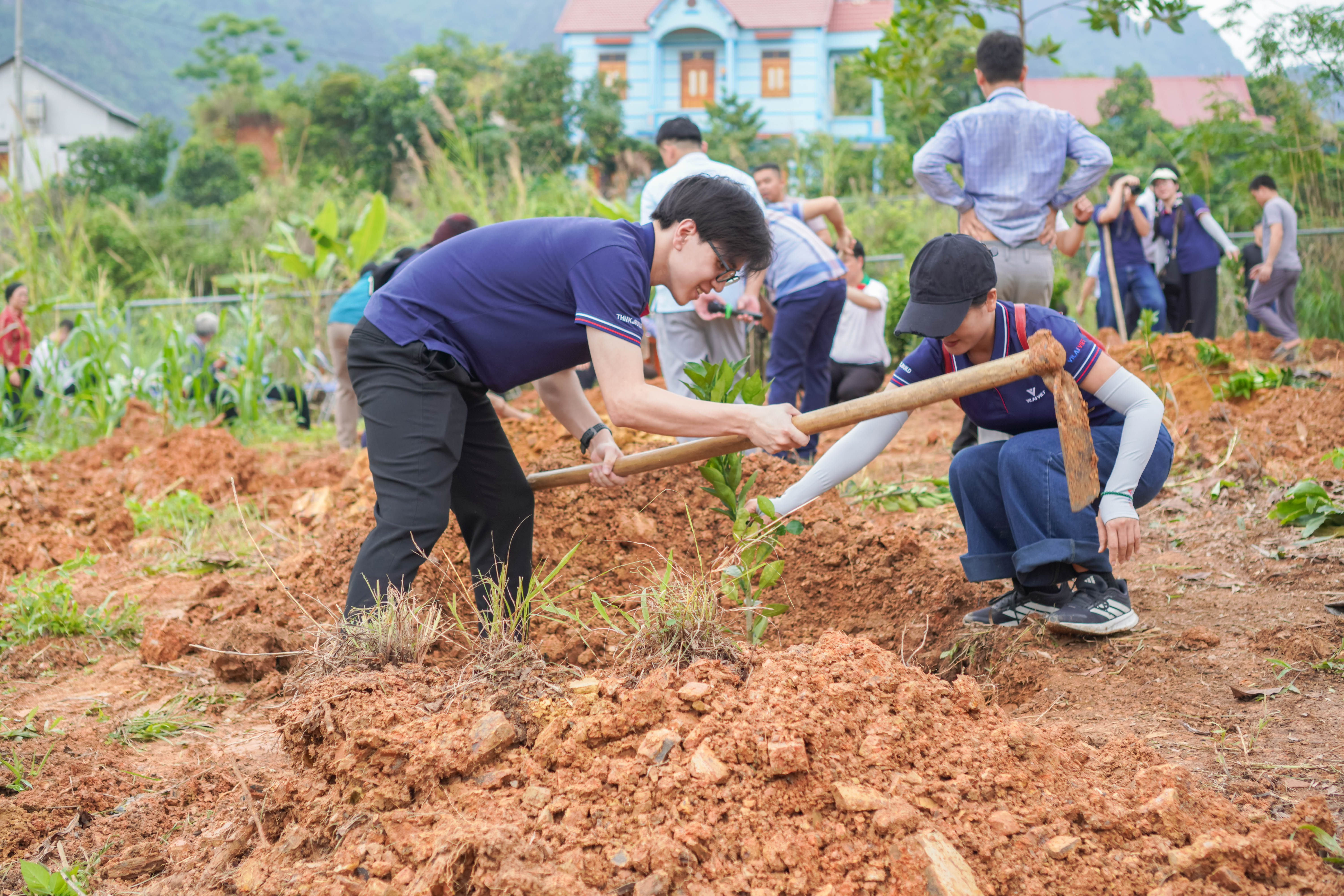 Vilai Viet joined hands with the locals to plant various trees.